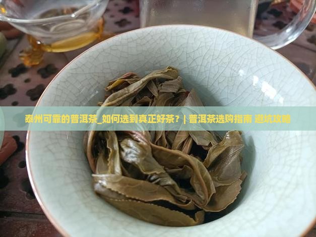 泰州可靠的普洱茶
