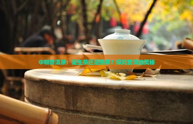 中粮普洱茶是生茶还是熟茶
