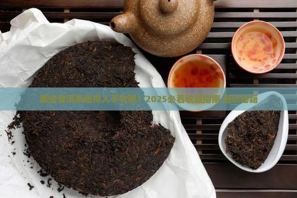 哪几款普洱茶可以购买藏起来
