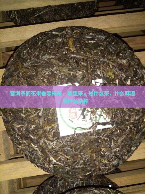 普洱茶的花果香