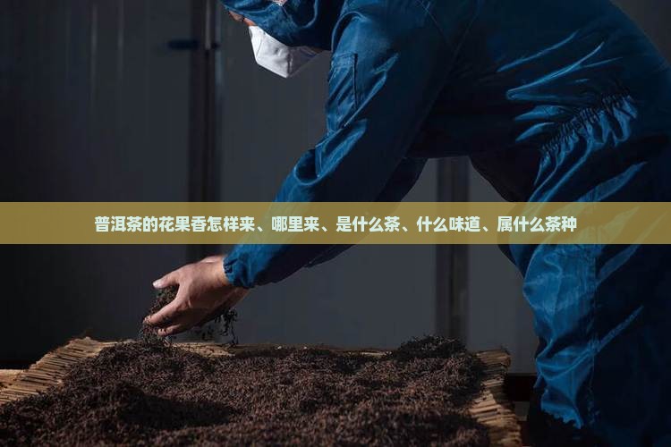 普洱茶的花果香