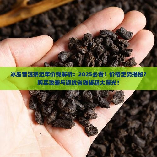 冰岛普洱茶近年价钱