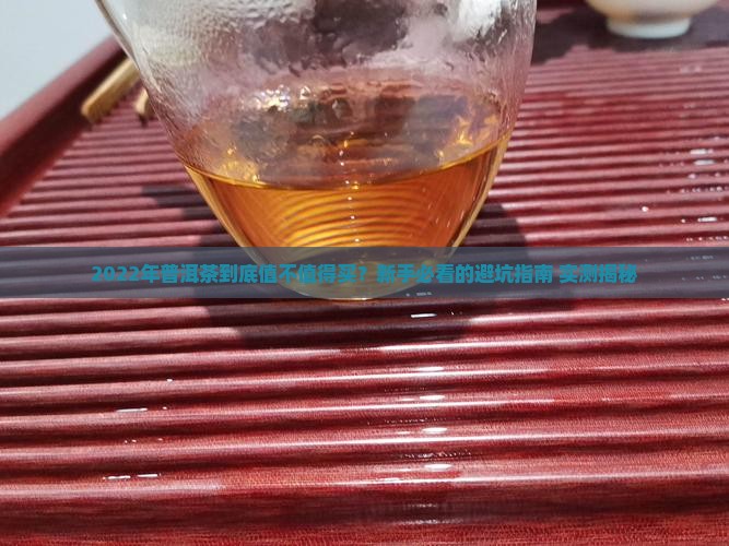 普洱茶2022年总体品质