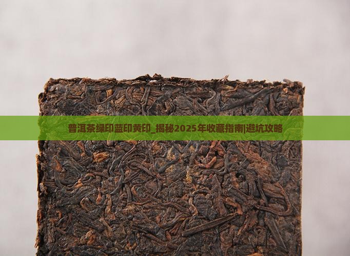 普洱茶绿印蓝印黄印