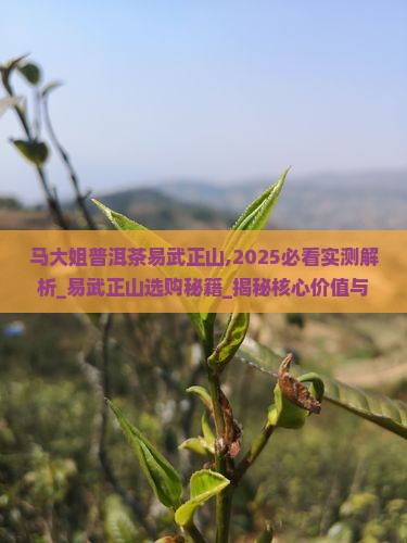 马大姐普洱茶易武正山