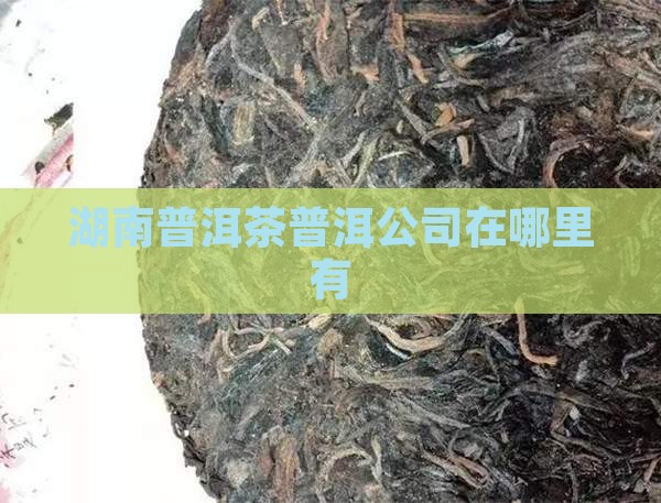 湖南普洱茶工厂在哪里有