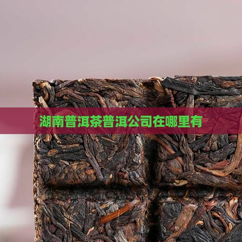 湖南普洱茶工厂在哪里有