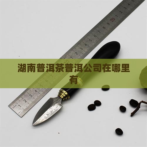 湖南普洱茶工厂在哪里有
