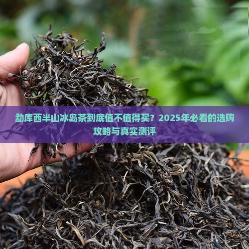云南省勐库西半山冰岛茶
