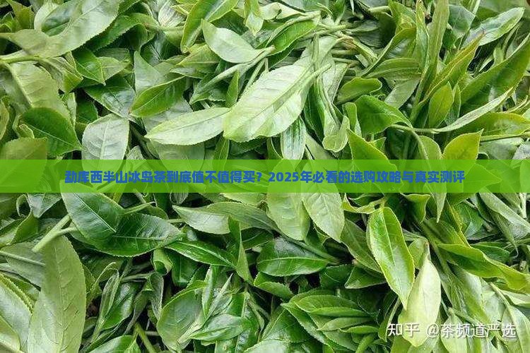 云南省勐库西半山冰岛茶