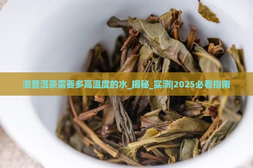 泡普洱茶需要多高温度的水