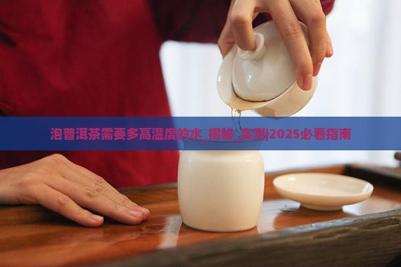 泡普洱茶需要多高温度的水