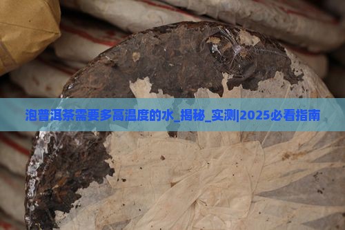 泡普洱茶需要多高温度的水
