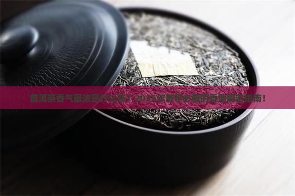 普洱茶香气最浓是什么茶