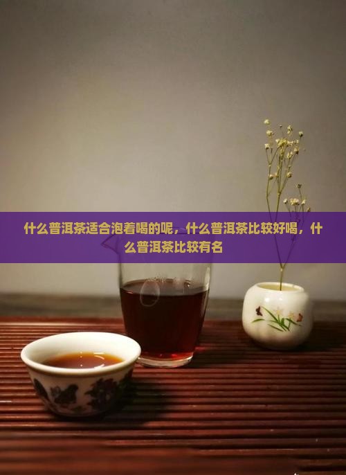 什么普洱茶适合泡着喝的