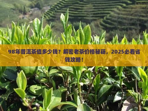 98年普洱茶卖多少