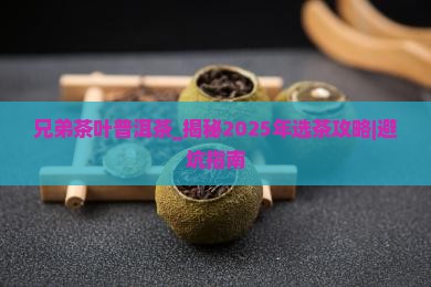 兄弟茶叶普洱茶