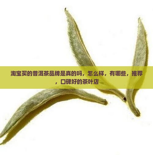 淘宝买的普洱茶品牌