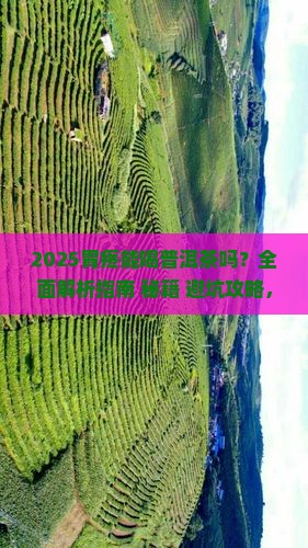胃疼能喝普洱茶么