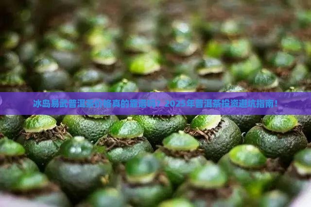 冰岛易武普洱茶价格