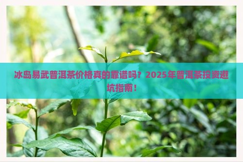 冰岛易武普洱茶价格