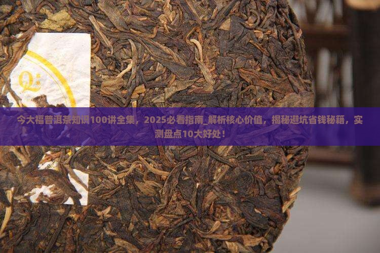 今大福普洱茶知识100讲全集