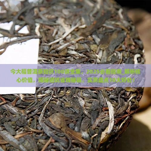 今大福普洱茶知识100讲全集