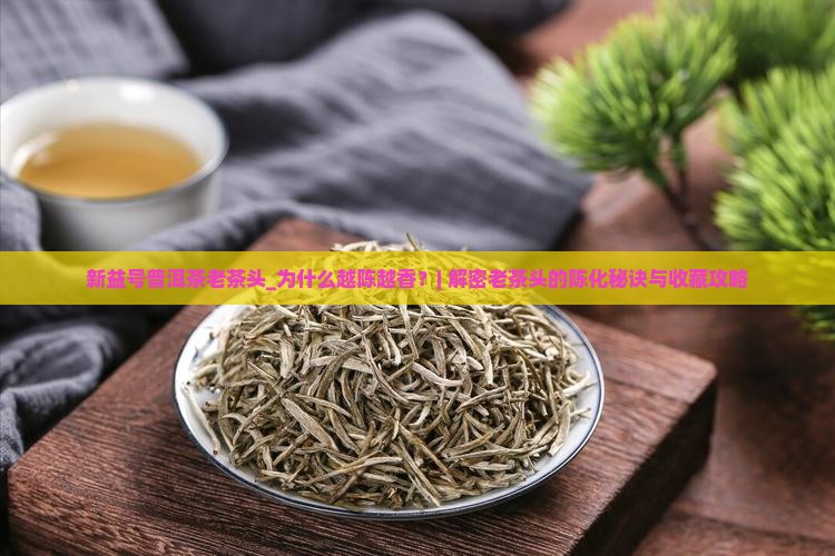 新益号普洱茶老茶头