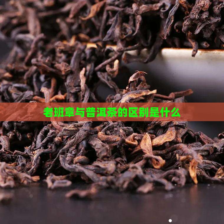 班章茶与老班章是什么区别