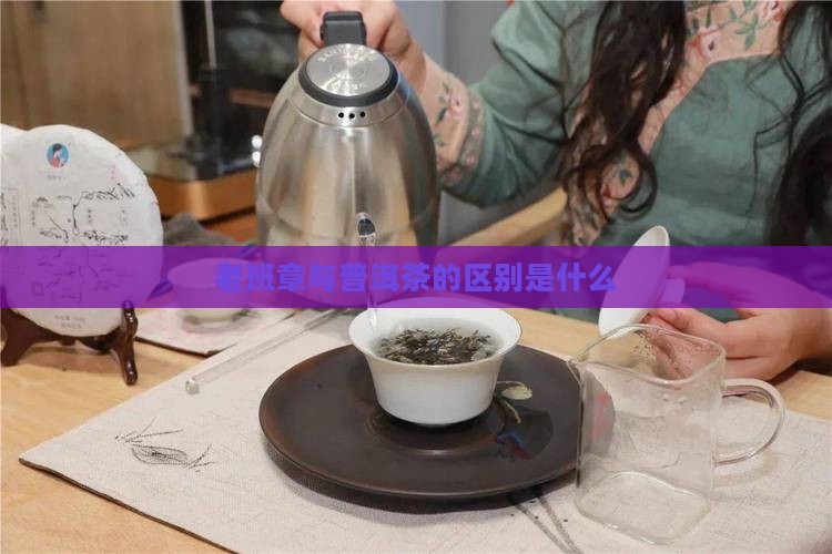 班章茶与老班章是什么区别