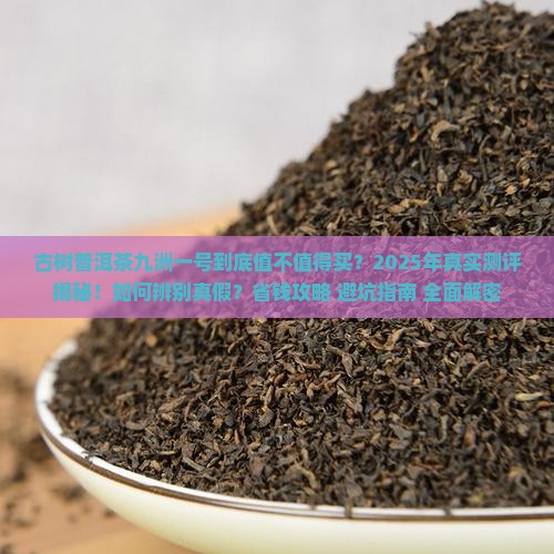 古树普洱茶九洲一号