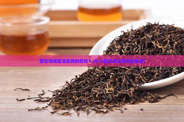 曾志伟喝普洱茶