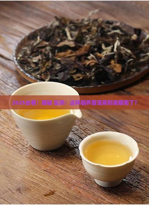临界普洱茶在哪里
