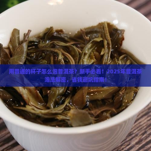 用普通的杯子怎么泡普洱茶