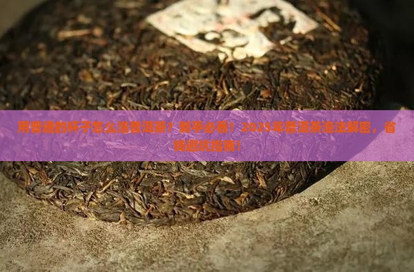 用普通的杯子怎么泡普洱茶