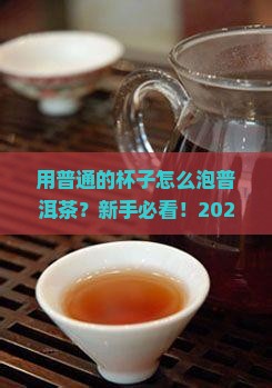 用普通的杯子怎么泡普洱茶