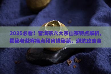 普洱茶现六大茶山茶的特点