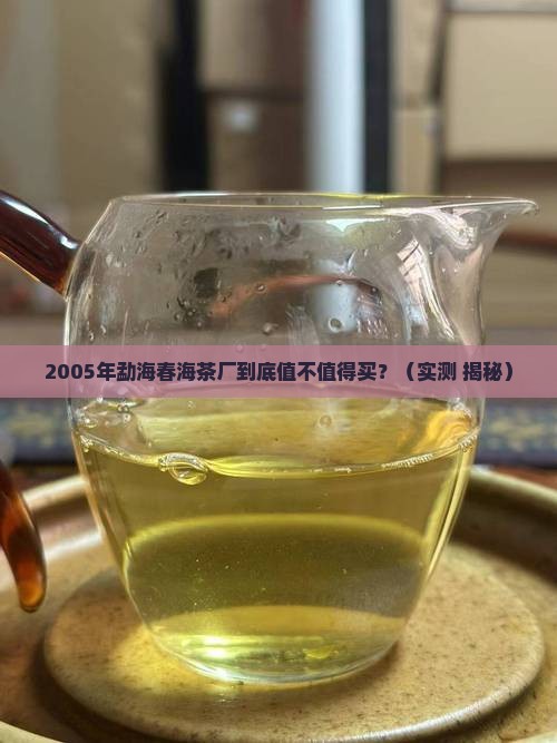 勐海春海茶厂2005年 勐海春海茶厂2005年