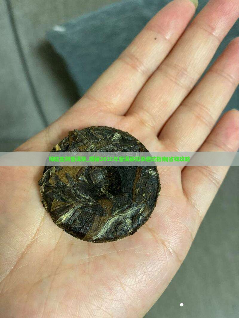 锦蛇生财普洱茶