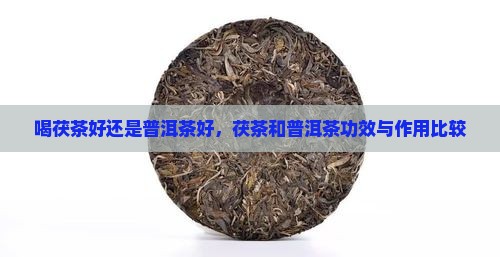 喝茯茶好还是普洱茶好