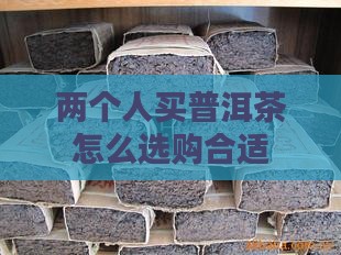 两个人买普洱茶怎么买合适