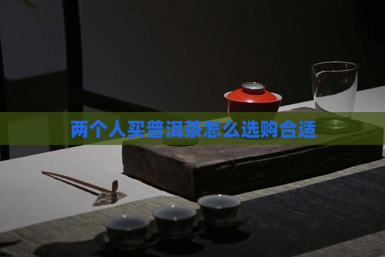 两个人买普洱茶怎么买合适