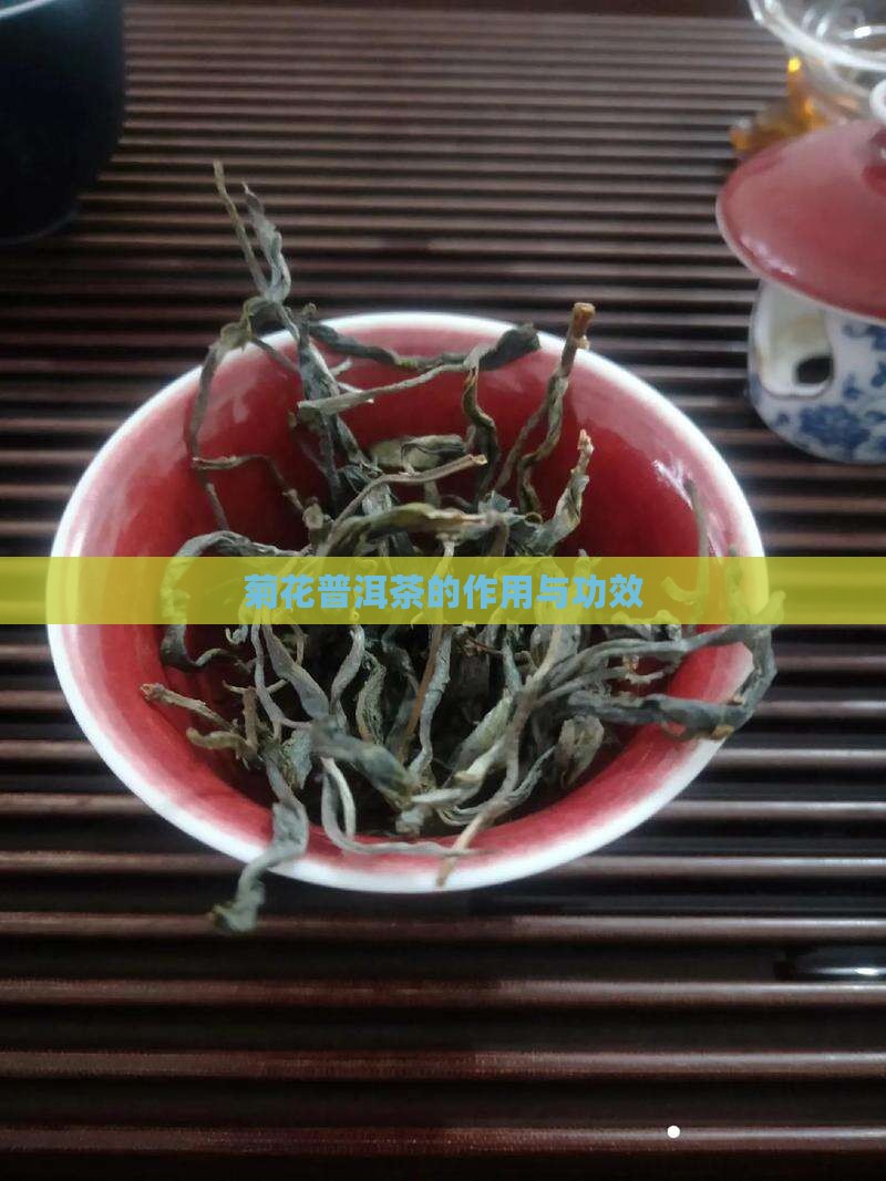 菊花普洱茶的作用与功效