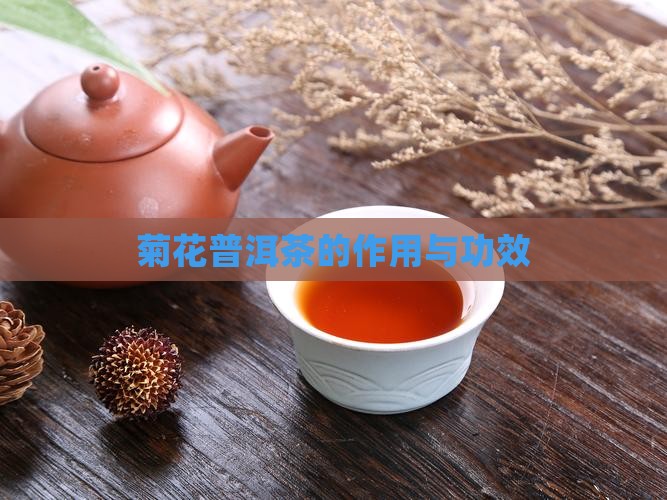 菊花普洱茶的作用与功效