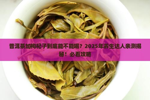 普洱茶加上枸杞子