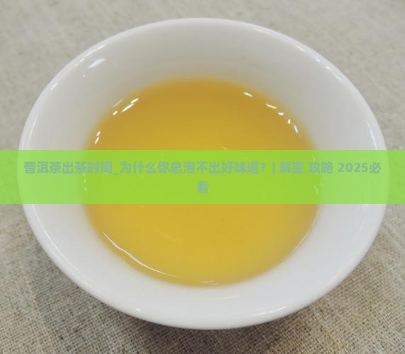 普洱茶出茶时间