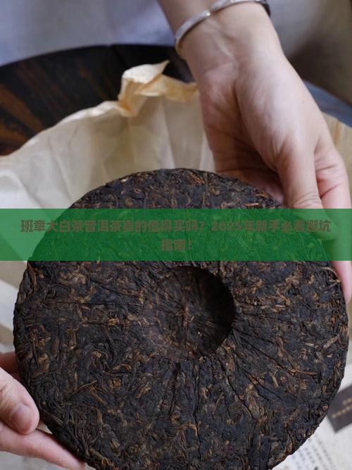 班章大白茶普洱茶