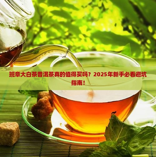 班章大白茶普洱茶
