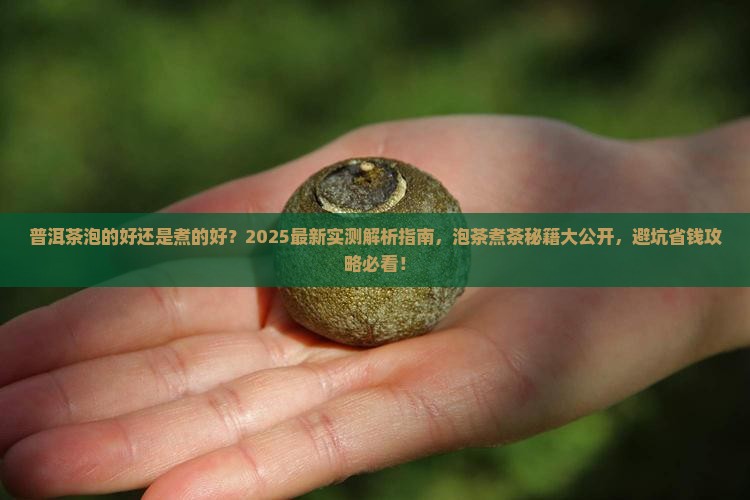 普洱茶泡的好还是煮的好呢