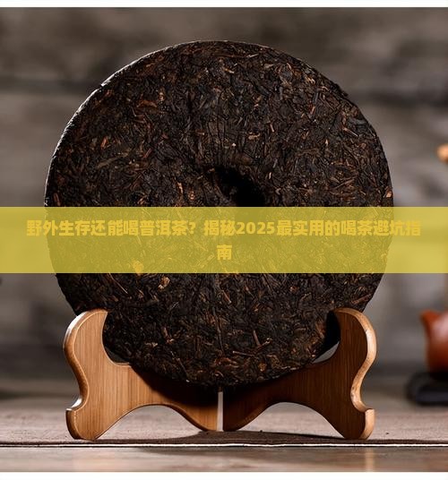 野外生存喝普洱茶